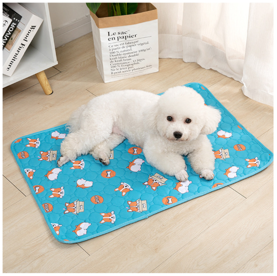 Pet Pee Hygienic Mat