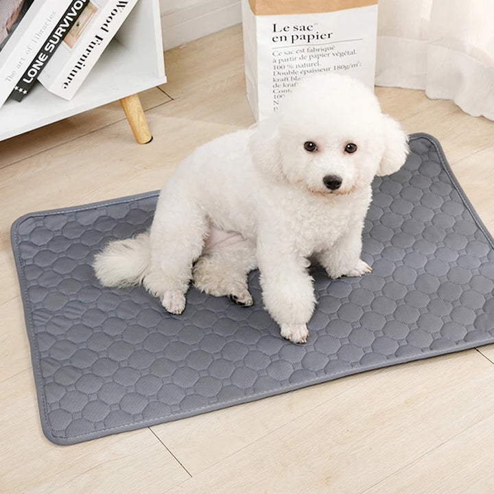 Pet Pee Hygienic Mat