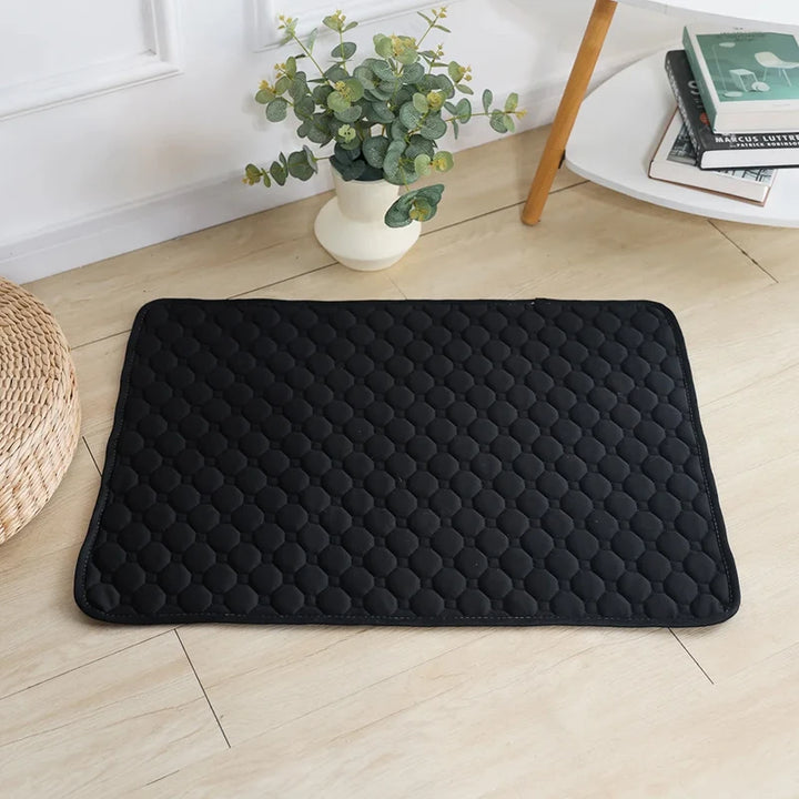 Pet Pee Hygienic Mat